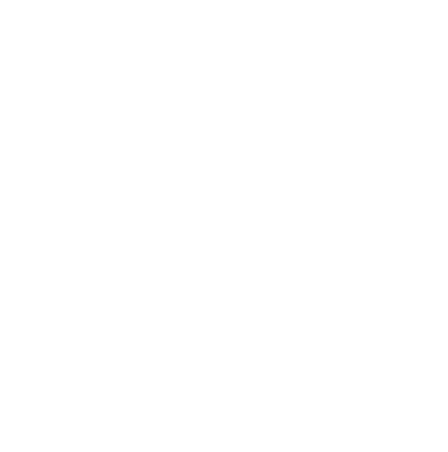 The  logo
