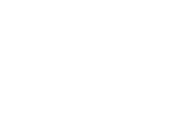 Performance Auto Group Logo