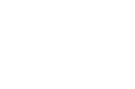 Logo Capital One