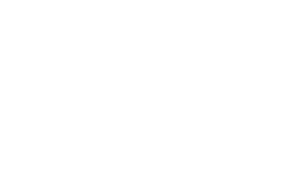 Logo Function Point