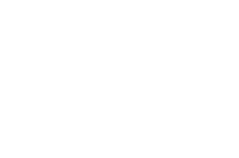 Logo MAV