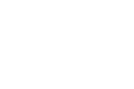 Logo Intact