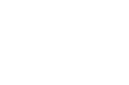 Steer Logo