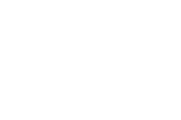 Lisa Davison Logo