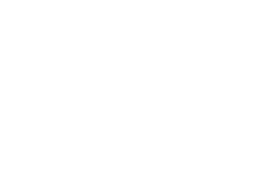 One Fish