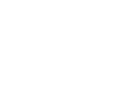 Pigeon Logo