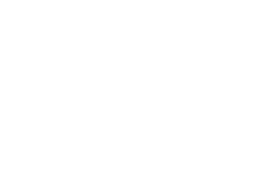 STV logo