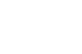 TDSB Logo