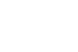 DDP Logo