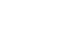 The Team Logo