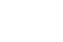 Wyse Logo