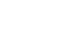 York University Logo